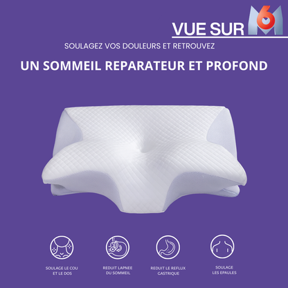 Oreiller Dreamsy 2.0